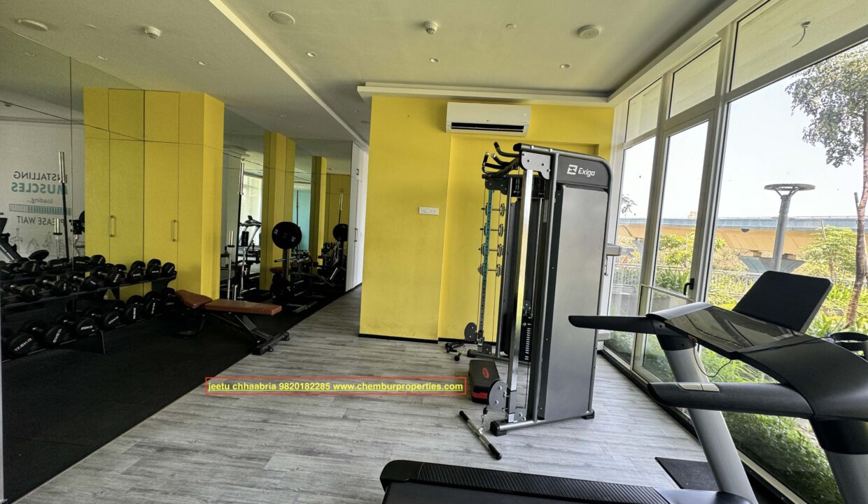 gym 2